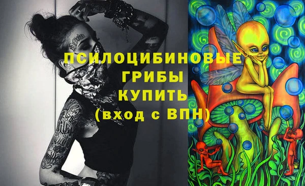 кокаин перу Дмитриев